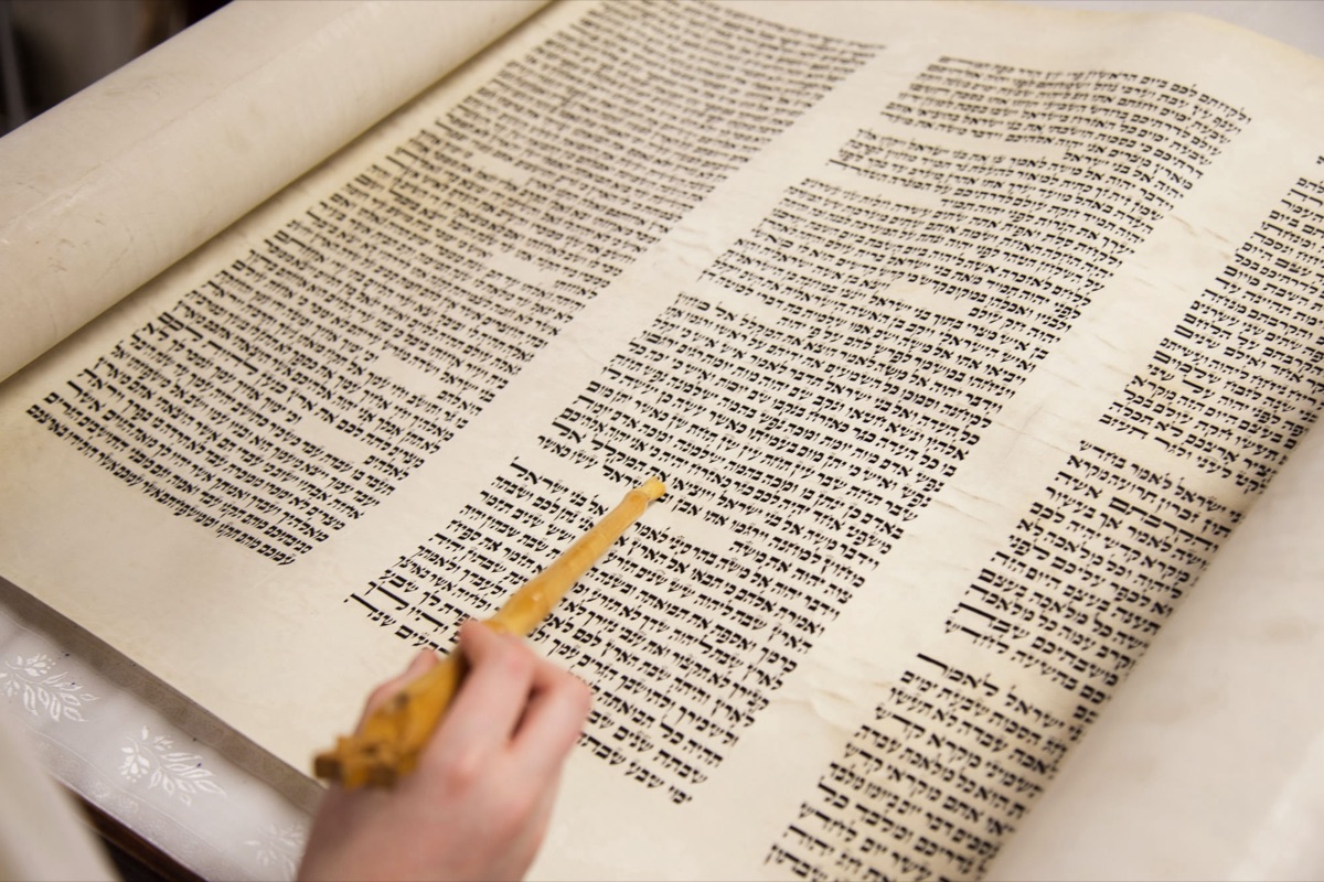 Reading from the Torah scroll with a yad, photographed by VIP Pro Lab and Video
